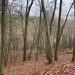 Siedlisko Jesionna Hébergement de vacances