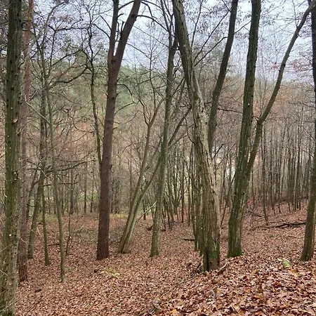 Siedlisko Jesionna Semesterbostad