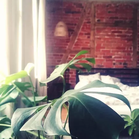 Siedlisko Jesionna Сasa de vacaciones *