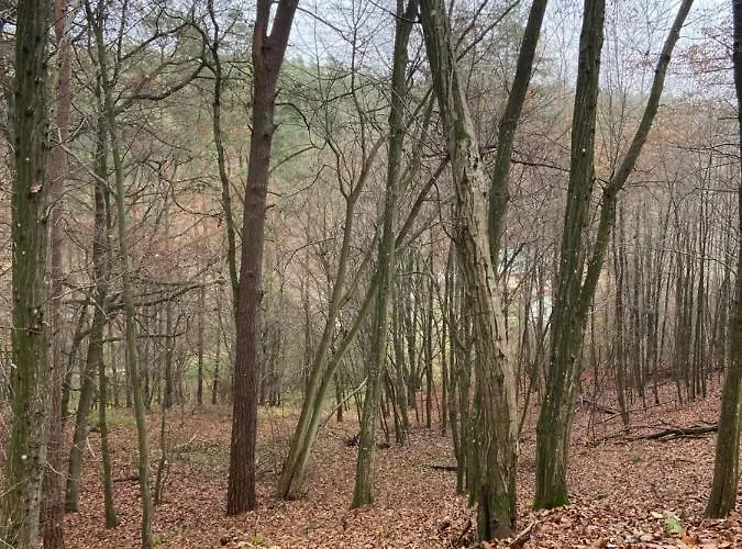 Siedlisko Jesionna Vakantiehuis