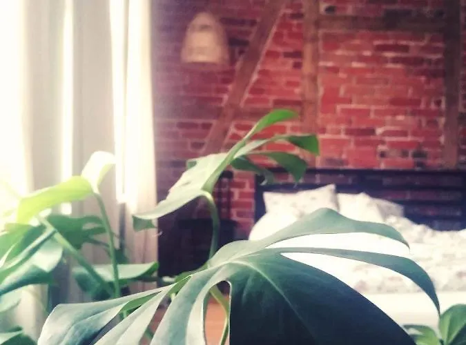 Siedlisko Jesionna Vakantiehuis *